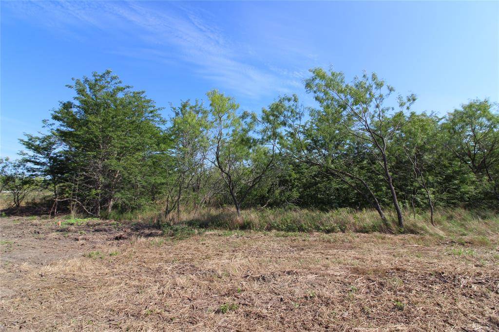 TBD Lot 8 FM 2860, Kaufman, TX 75142