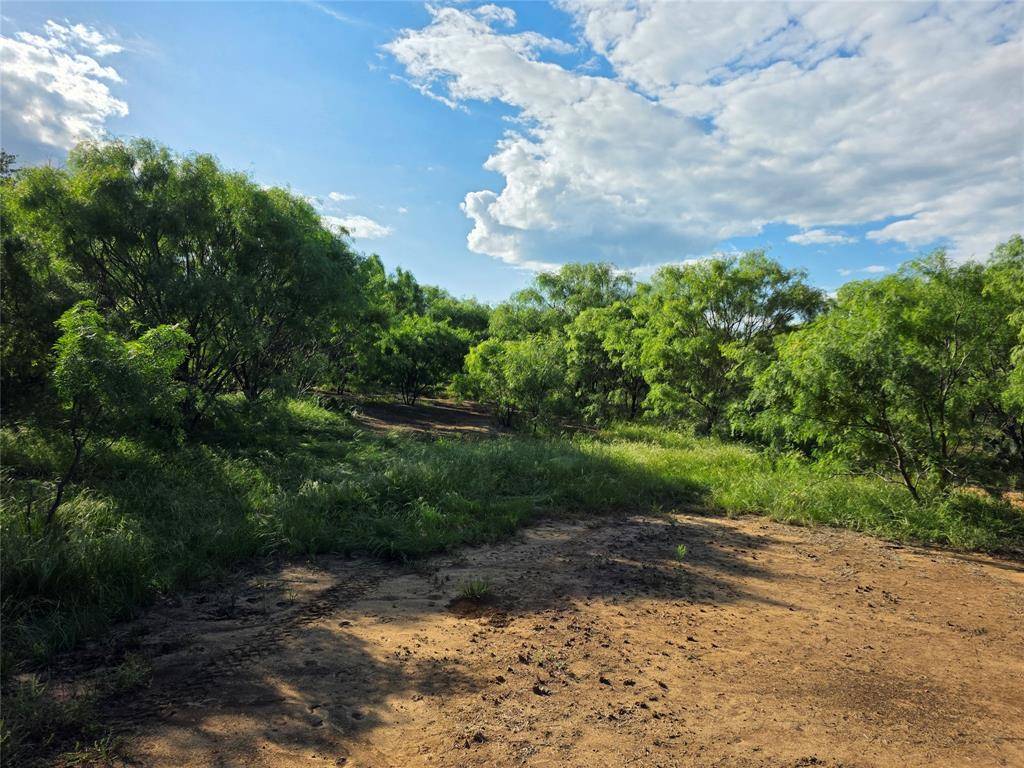 3201 County Road 612, Bangs, TX 76823