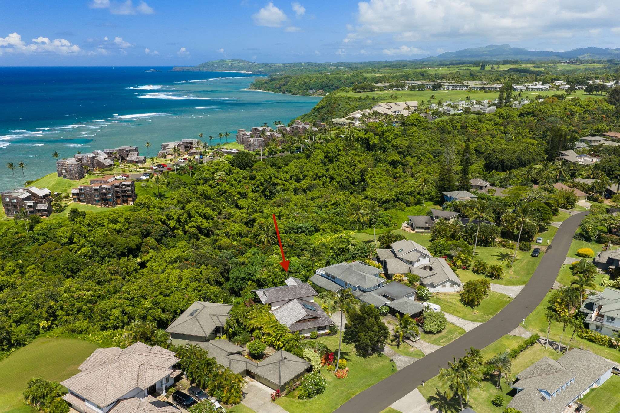 3629 KAWEONUI RD, Princeville, HI 96722