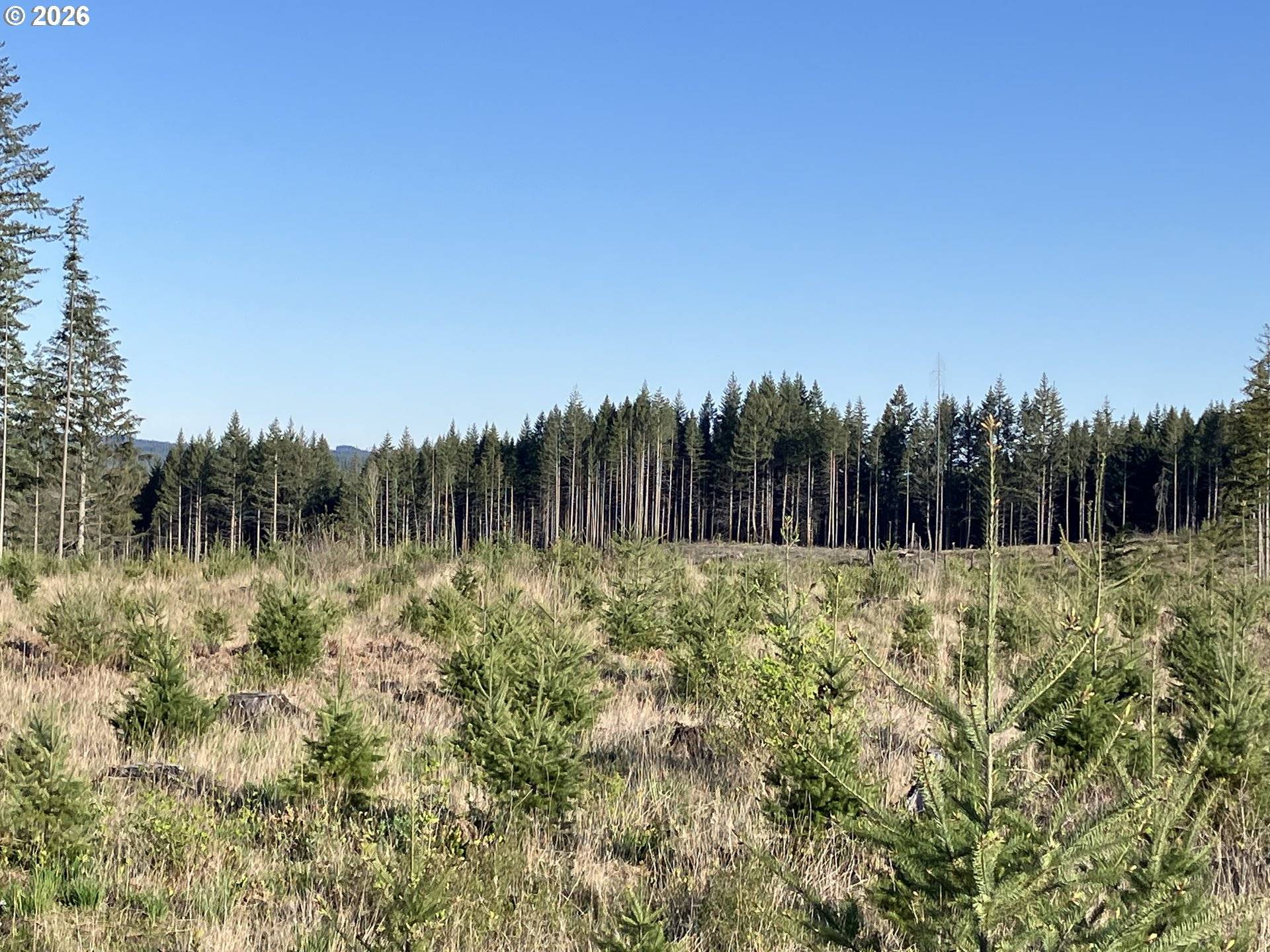 00 S Benjamin RD, Estacada, OR 97023