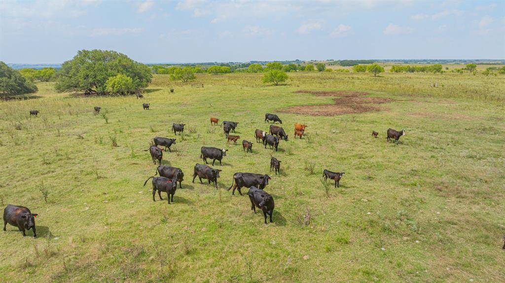 2901 Fm 1476, Dublin, TX 76446
