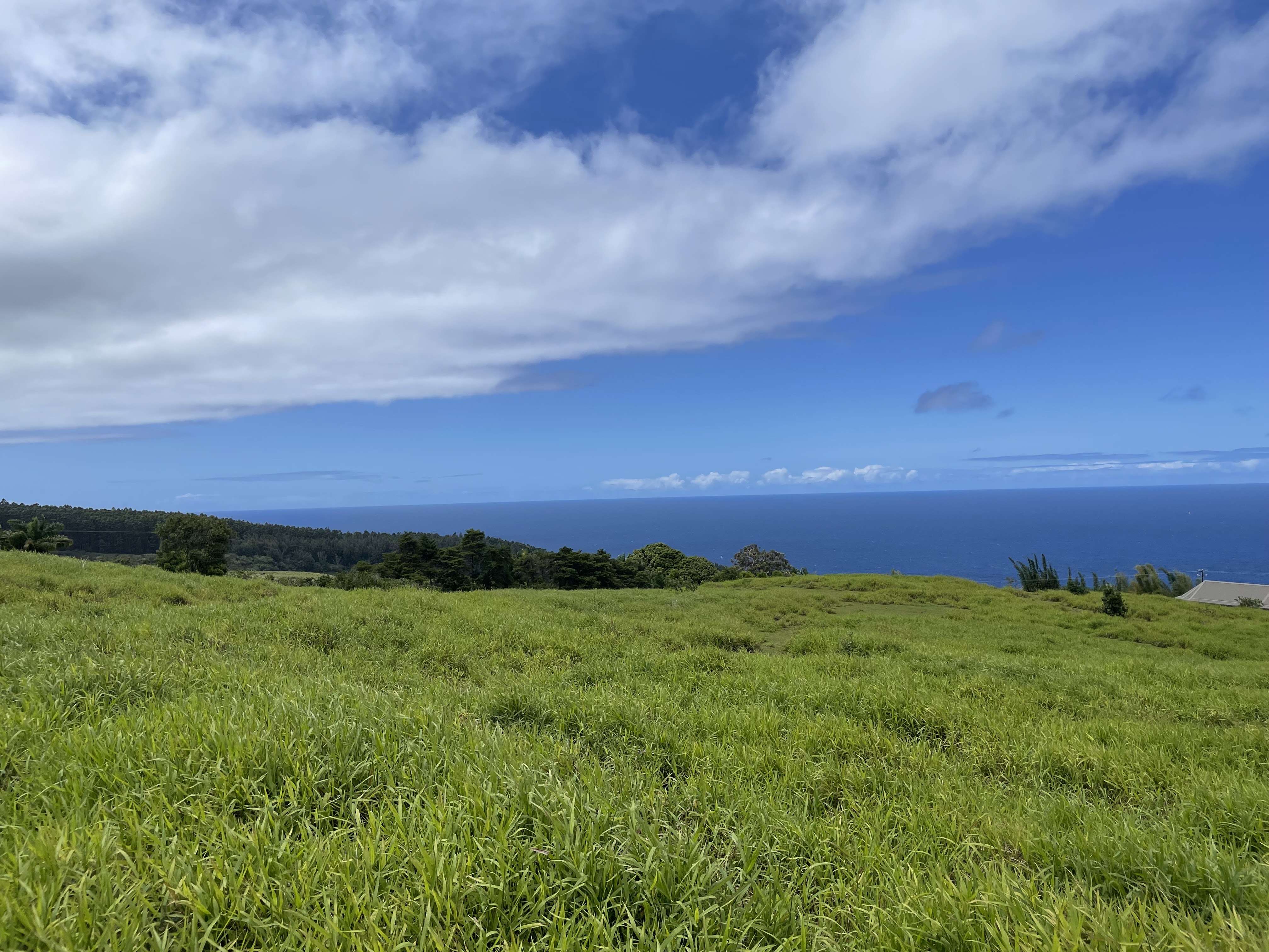 KAMALANI RD, Laupahoehoe, HI 96764