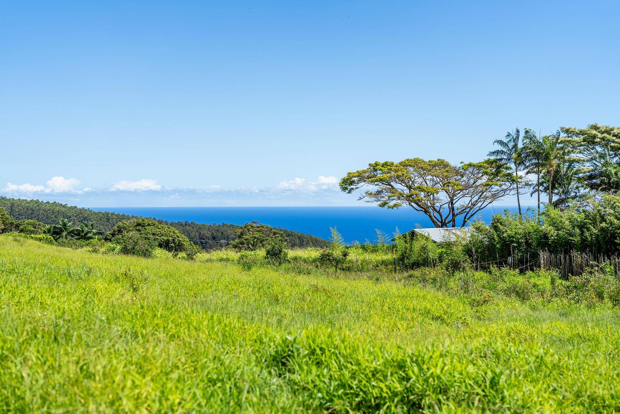 KAMALANI RD, Laupahoehoe, HI 96764