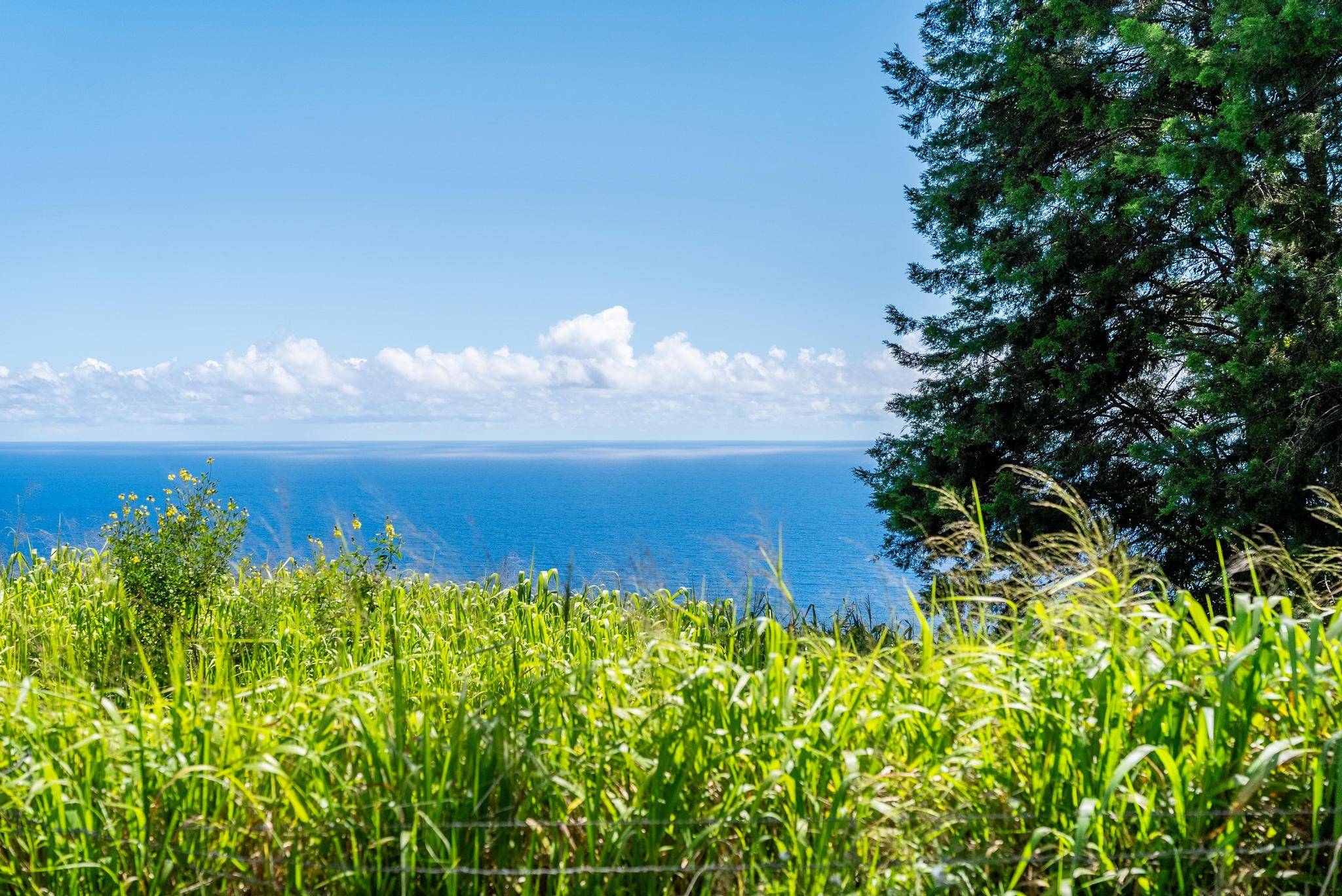 KAMALANI RD, Laupahoehoe, HI 96764