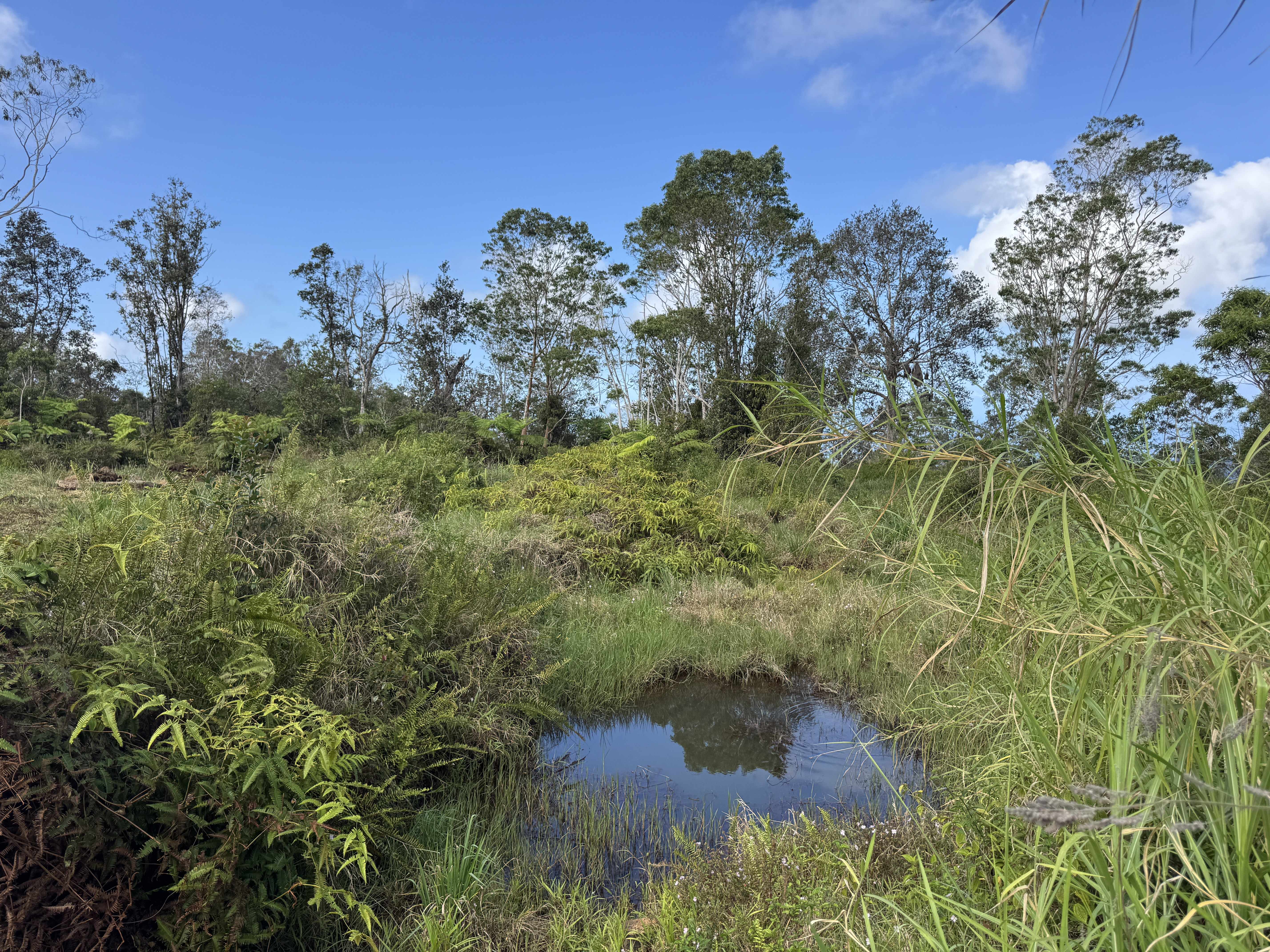 75-1300 KEOPU MAUKA DR, Holualoa, HI 96725