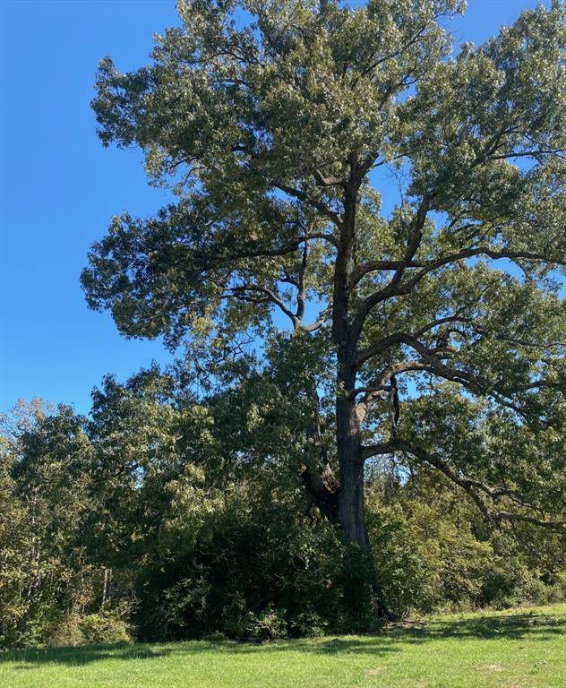 009 County Rd 242, Oakwood, TX 75855