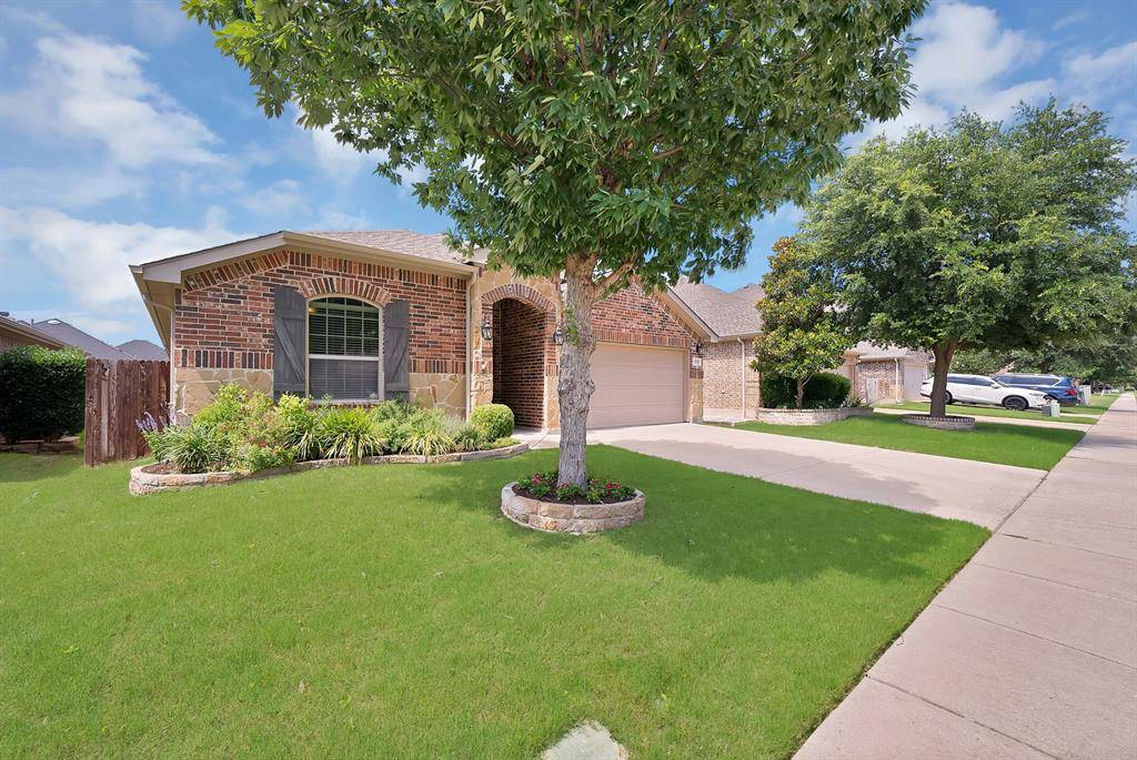 11713 Cape Cod Springs Drive, Frisco, TX 75036