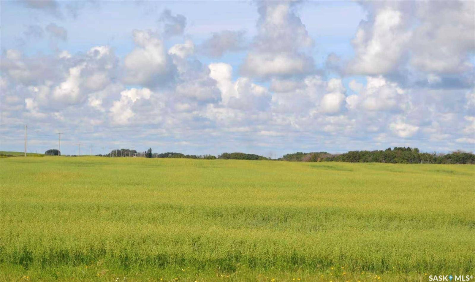 Rural Address, Ituna Bon Accord Rm No. 246, SK S0A 1A0
