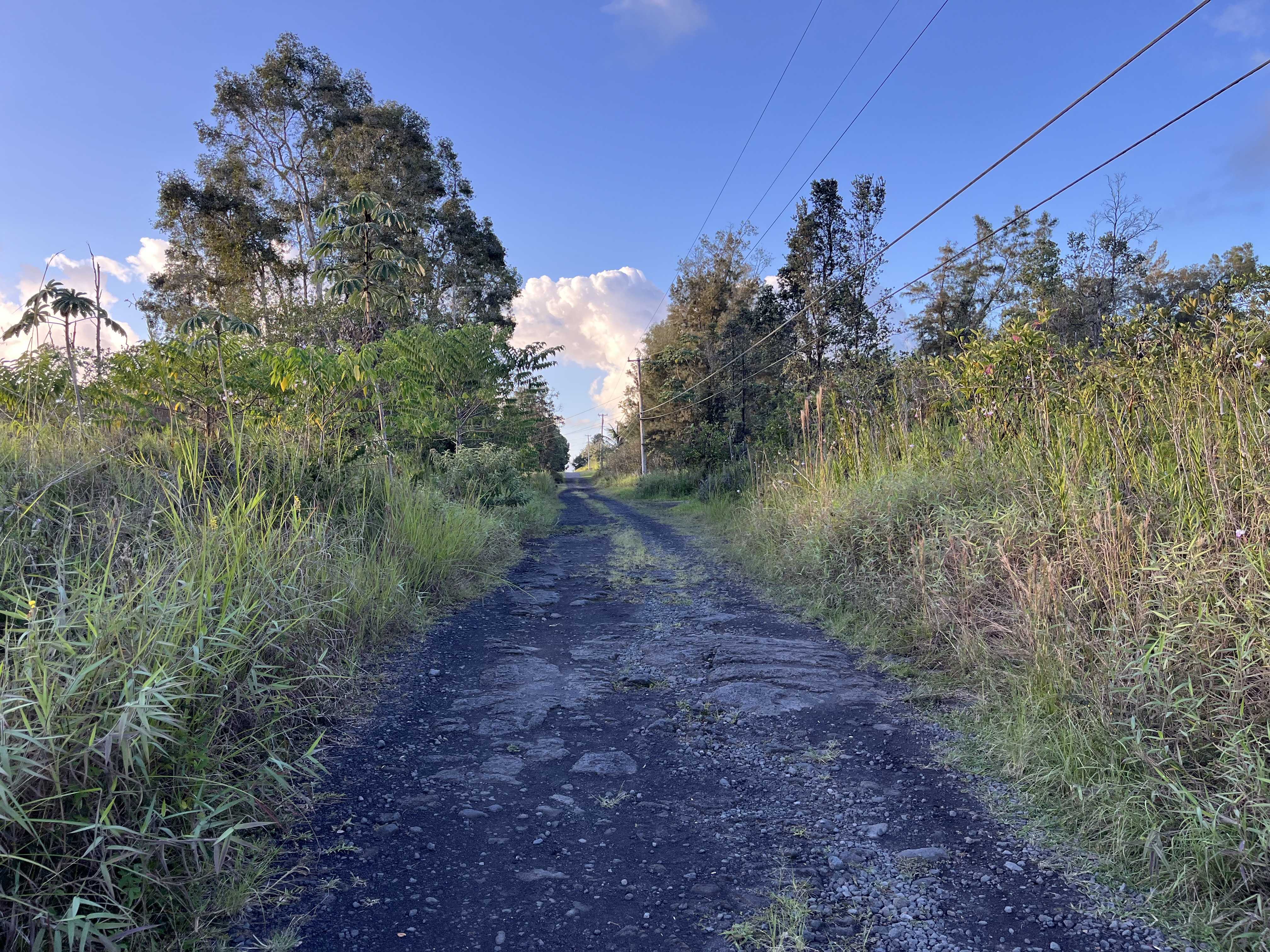 16-1272 KOLOA MAOLI RD, Mountain View, HI 96760