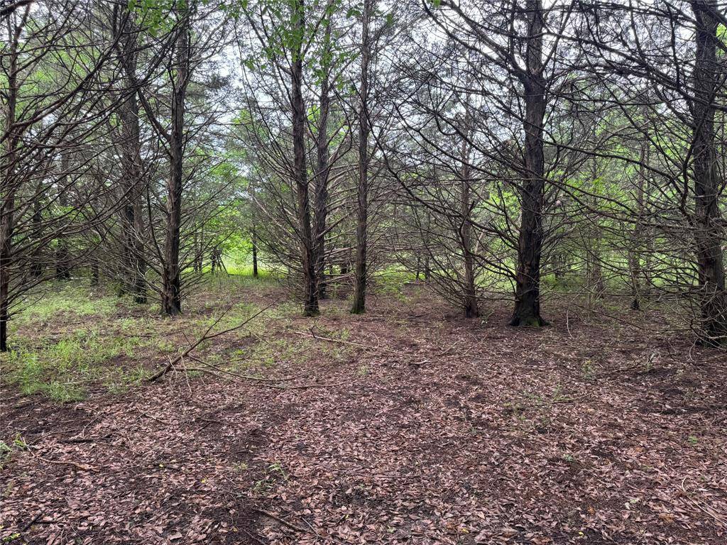 TBD 2.824 acres Fm 901, Gordonville, TX 76245