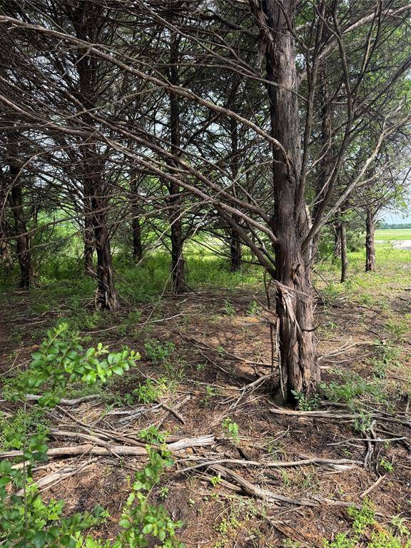TBD 2.824 acres Fm 901, Gordonville, TX 76245