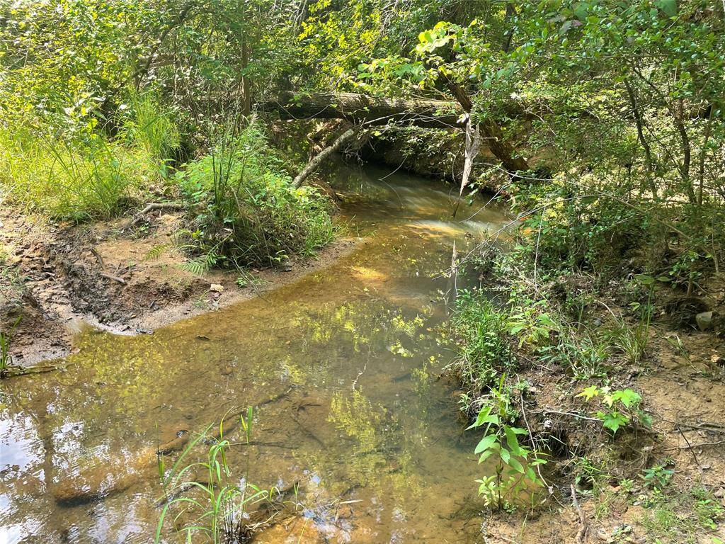 649 An County Road 1215, Grapeland, TX 75844