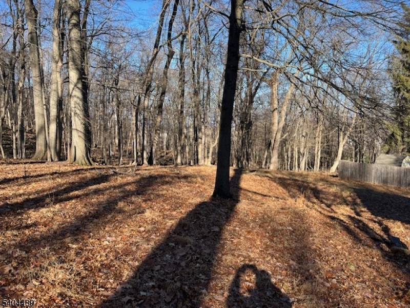 659 Mountain Ave, North Caldwell Boro, NJ 07006