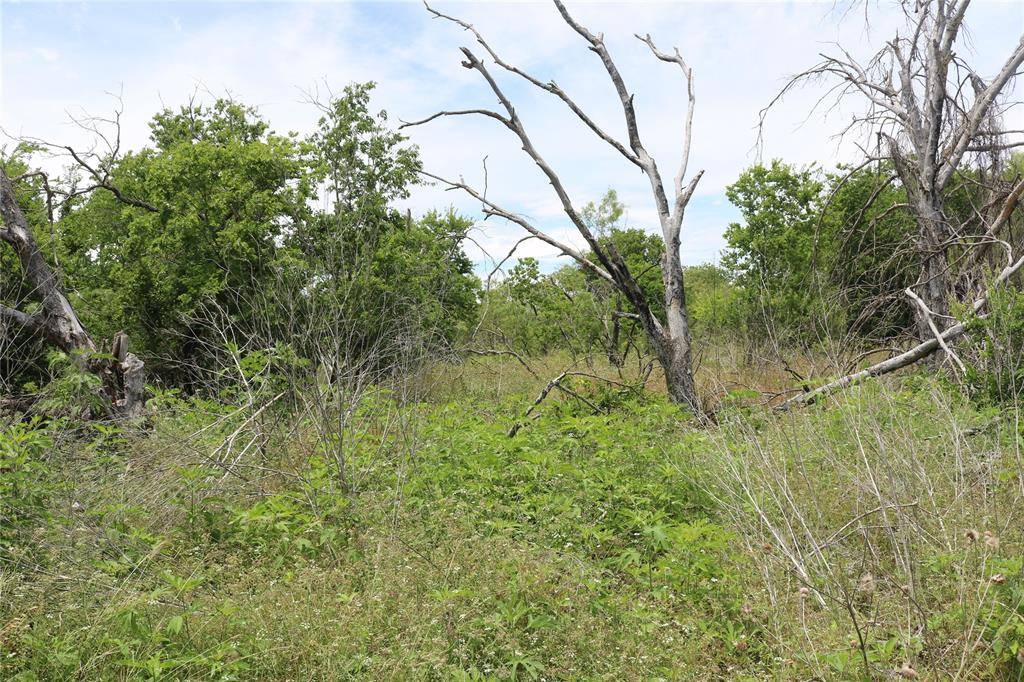 000 State Highway 6, Dublin, TX 76446