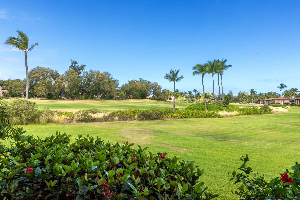 69-555 WAIKOLOA BEACH DR #1005, Waikoloa, HI 96738