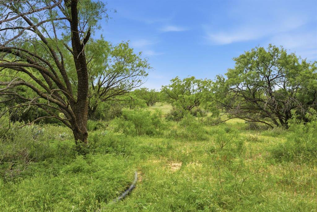 141+-Ac FM 880, Moran, TX 76464