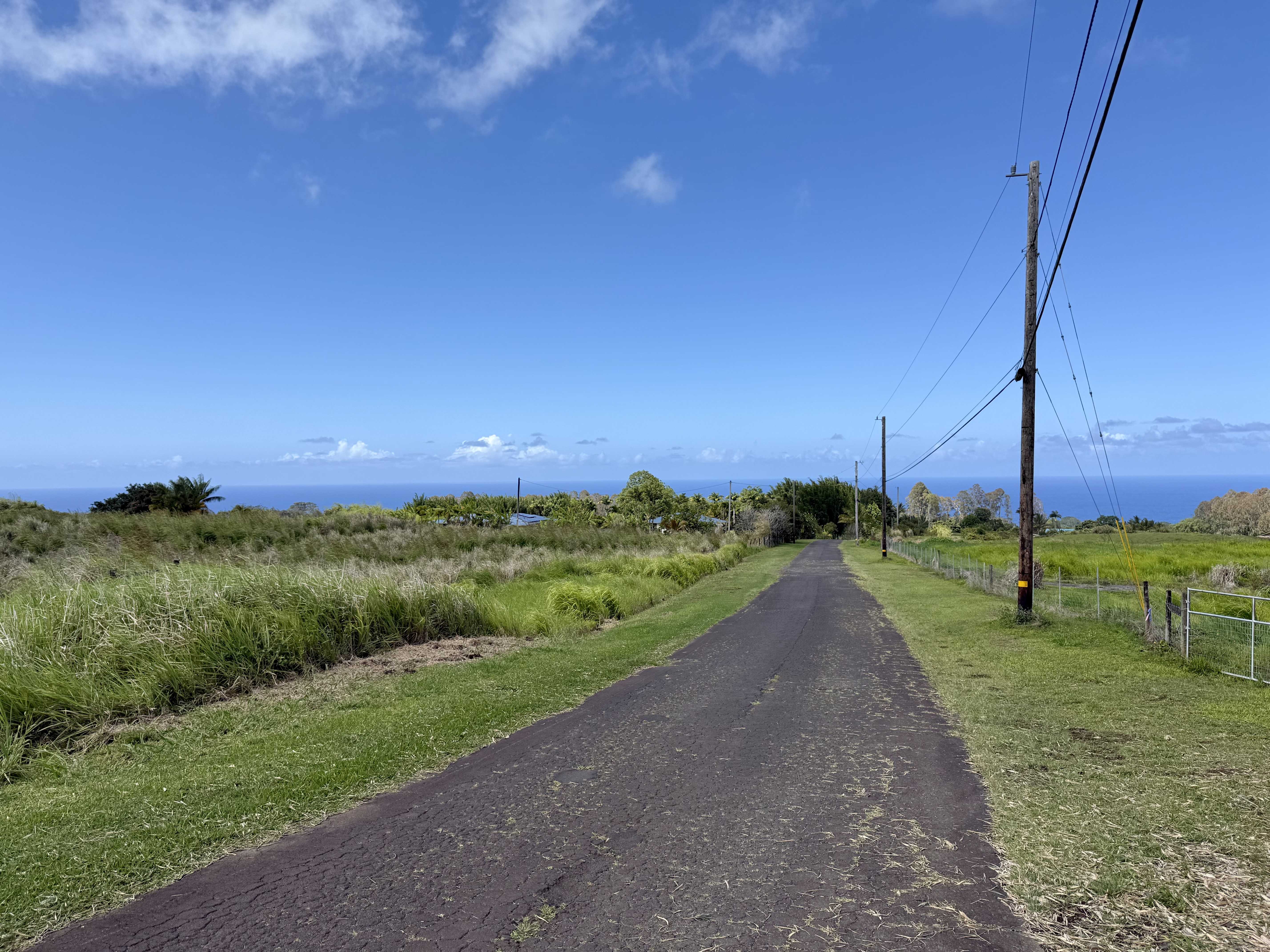 29-509 CHIN CHUCK RD, Hakalau, HI 96710