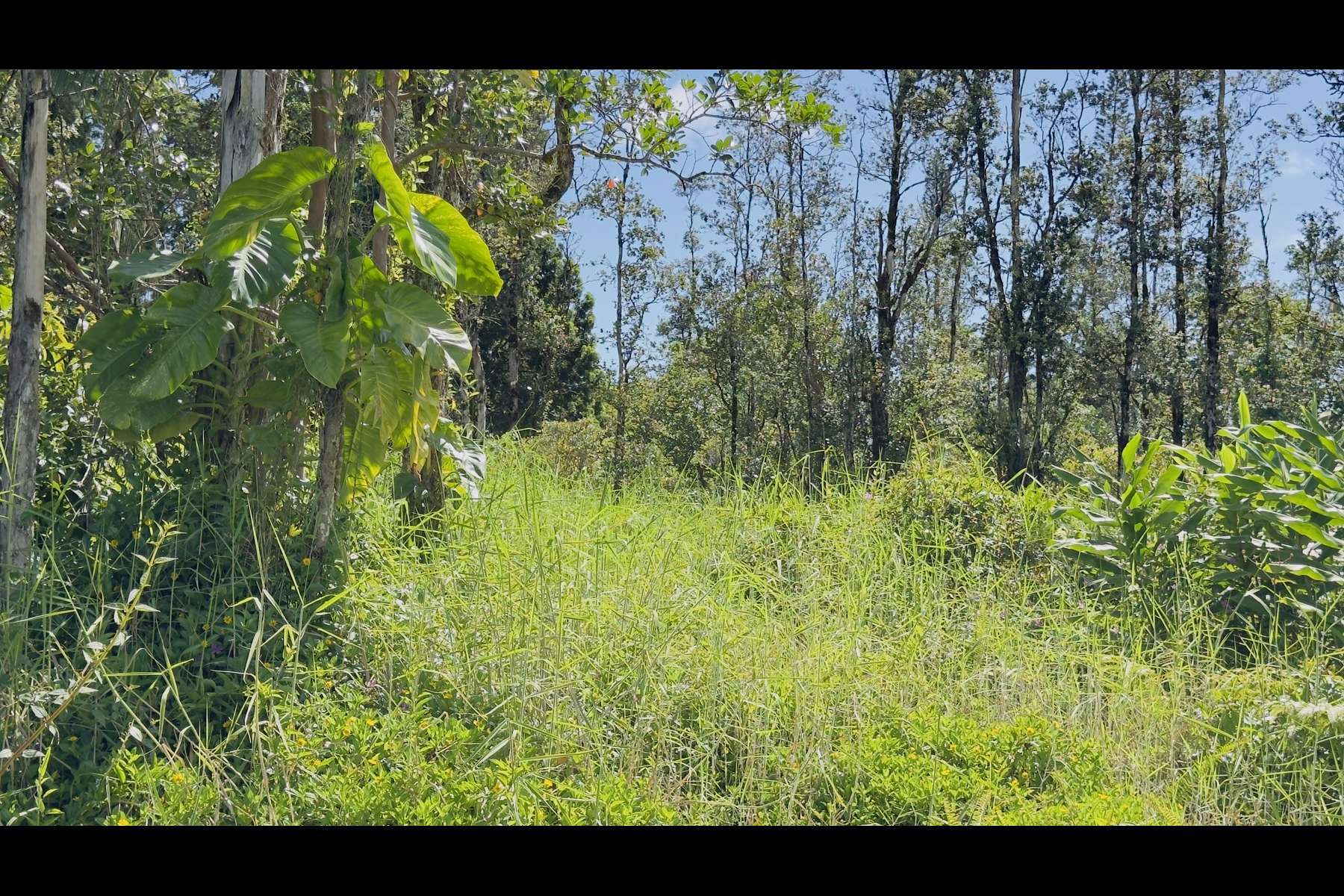 UILANI DR, Pahoa, HI 96778