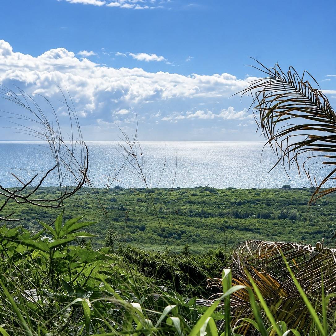 94-6467 AHI RD, Naalehu, HI 96772