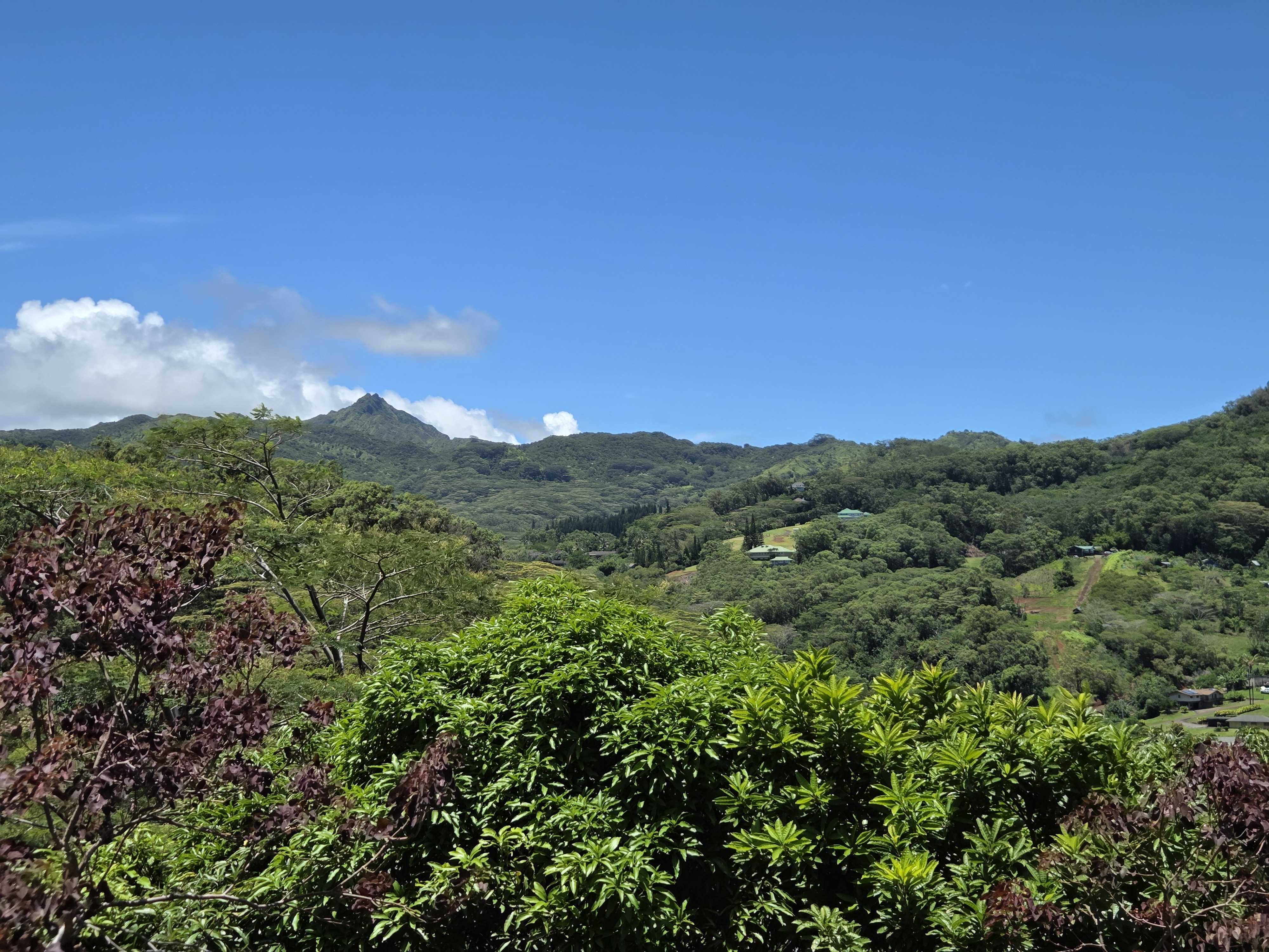 3320-B WAWAE RD, Kalaheo, HI 96741