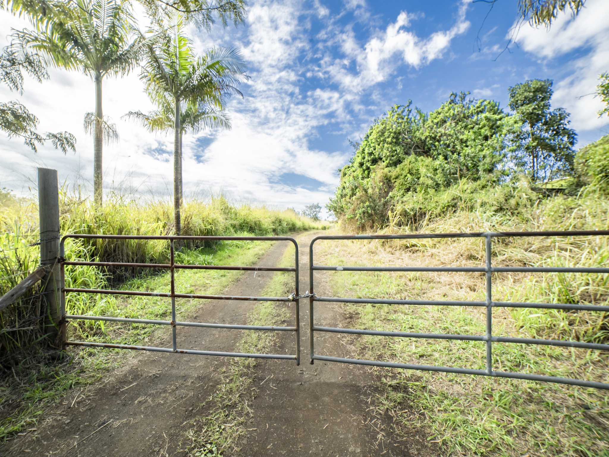 93-5570 KAI MAKANI PL, Naalehu, HI 96772
