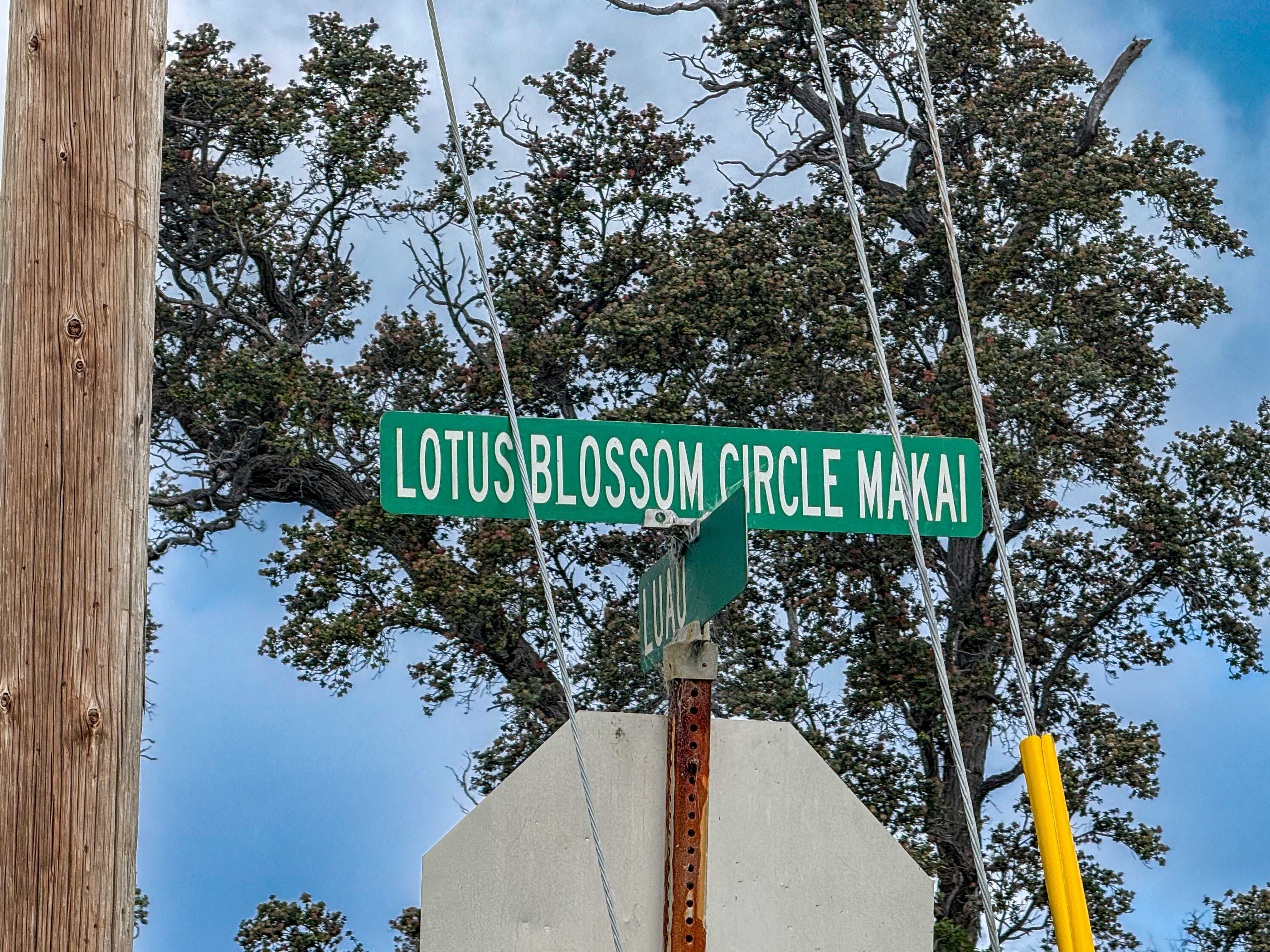 LOTUS BLOSSOM CIRCLE MAKAI, Ocean View, HI 96737