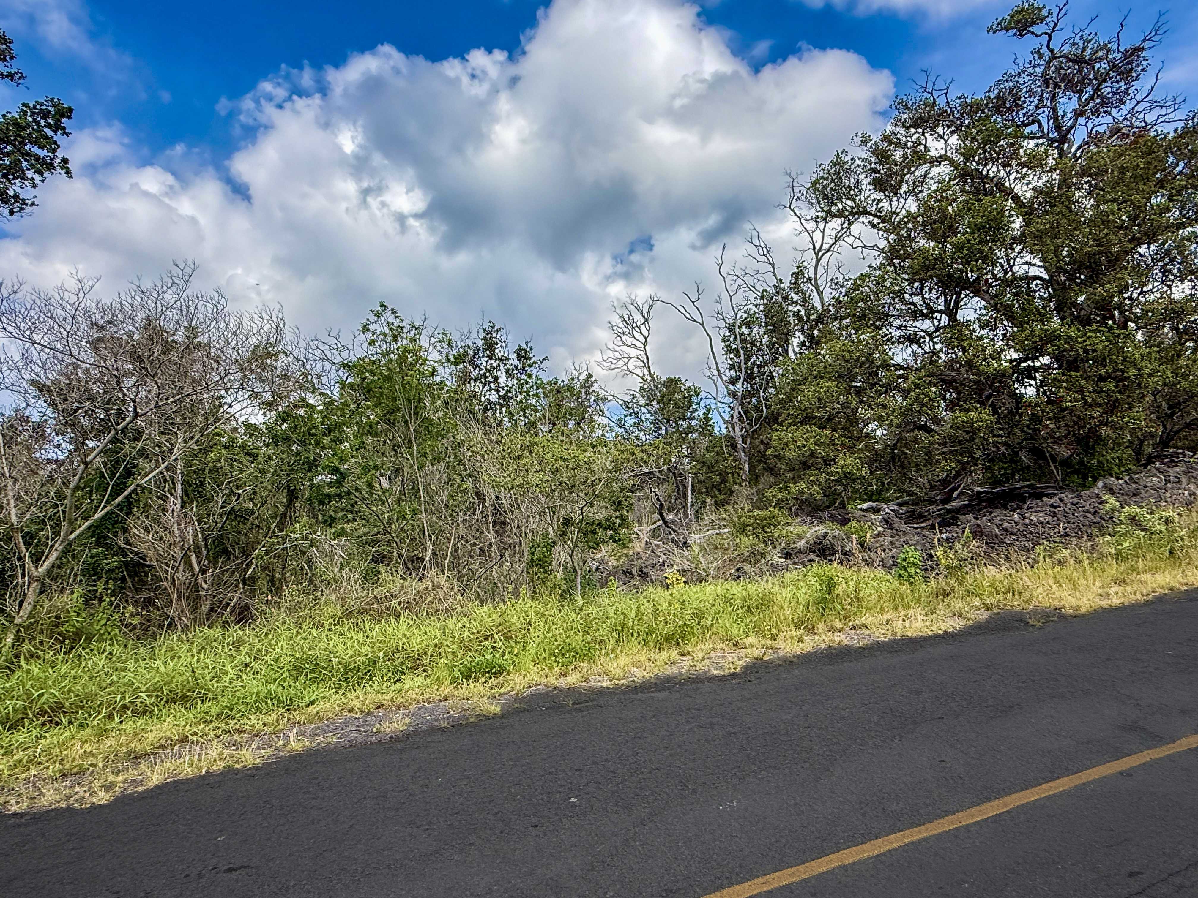LOTUS BLOSSOM CIRCLE MAKAI, Ocean View, HI 96737