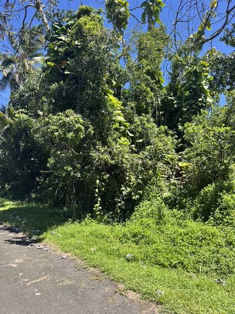 OPELU ST, Pahoa, HI 96778
