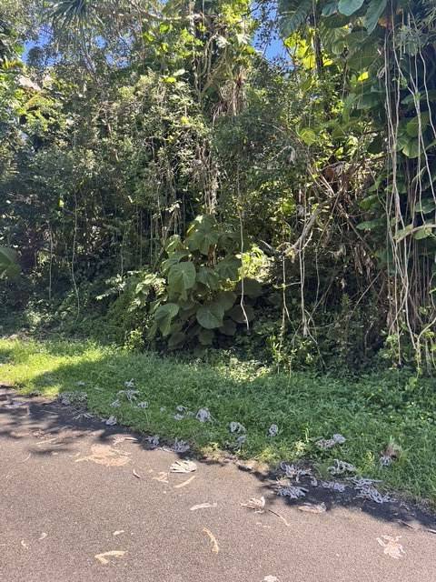 OPELU ST, Pahoa, HI 96778