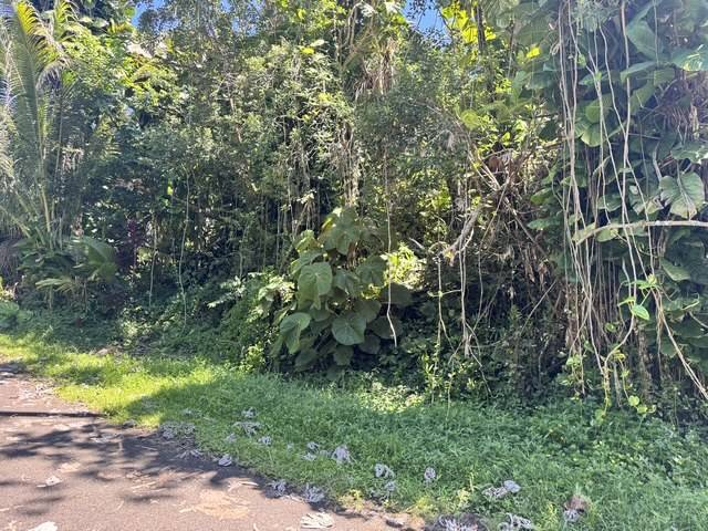 OPELU ST, Pahoa, HI 96778