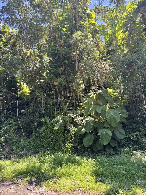 OPELU ST, Pahoa, HI 96778