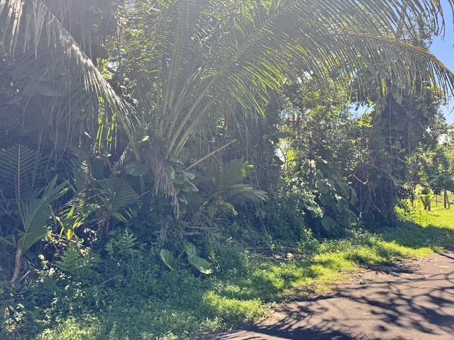 OPELU ST, Pahoa, HI 96778