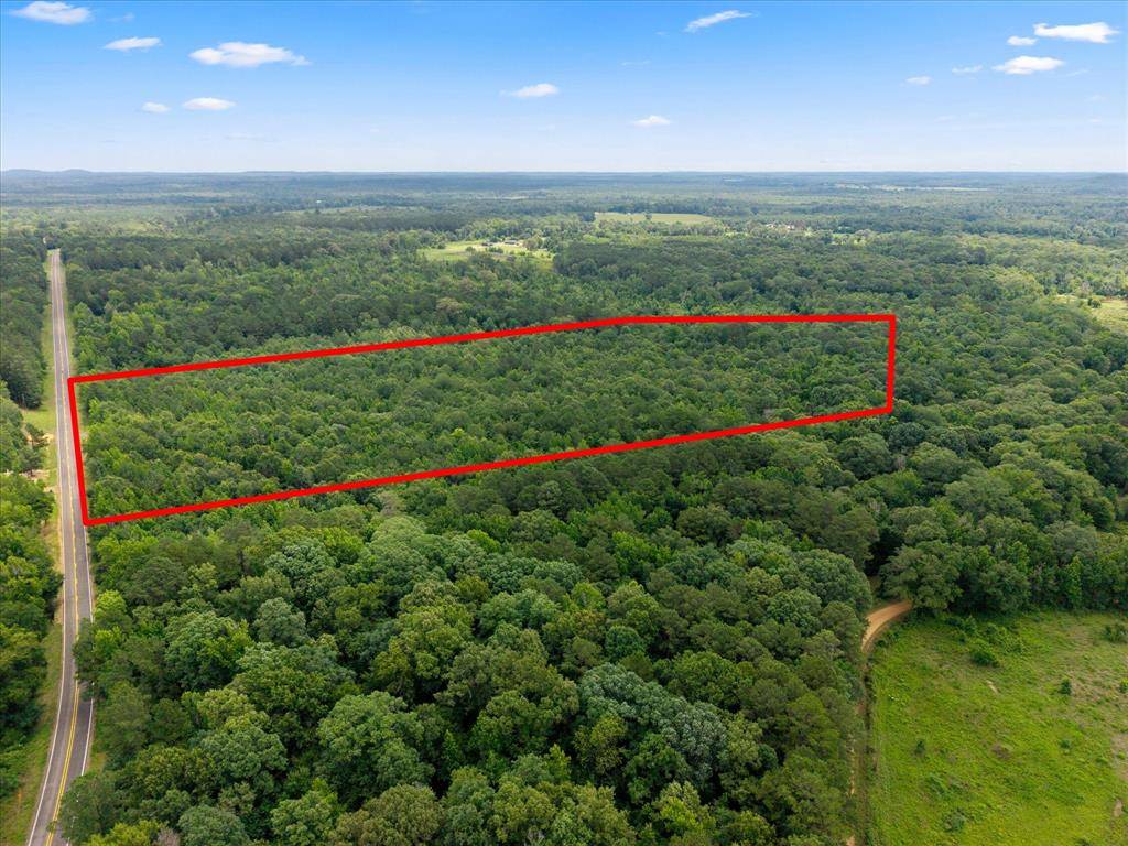 Lots 7,8,9 J Lazarine FM 130, Hughes Springs, TX 75656