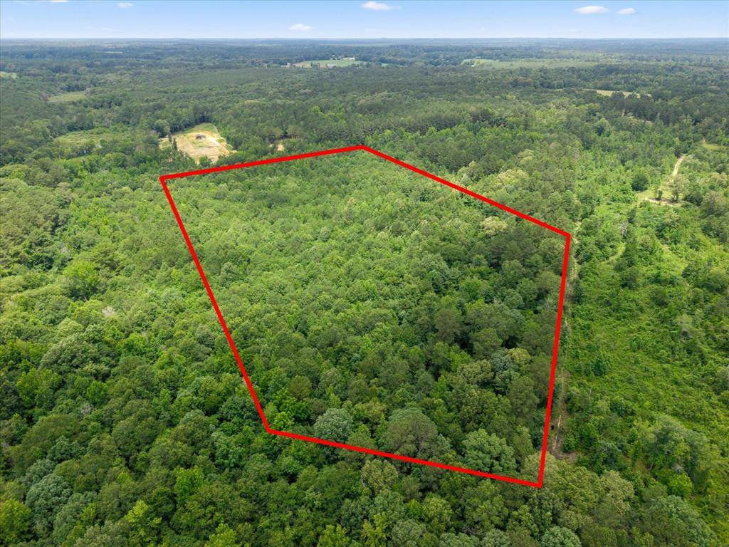 Lots 7,8,9 J Lazarine FM 130, Hughes Springs, TX 75656