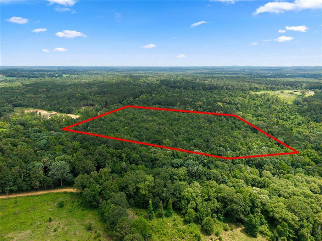 Lots 7,8,9 J Lazarine FM 130, Hughes Springs, TX 75656
