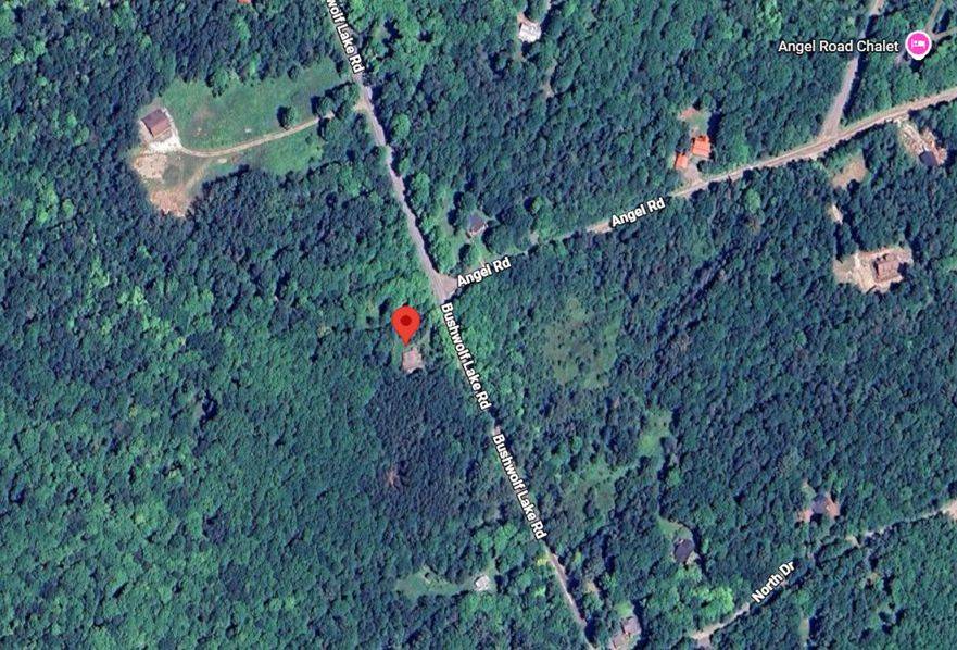1170 Bush Wolf Lake RD, Dysart Et Al, ON K0M 1M0