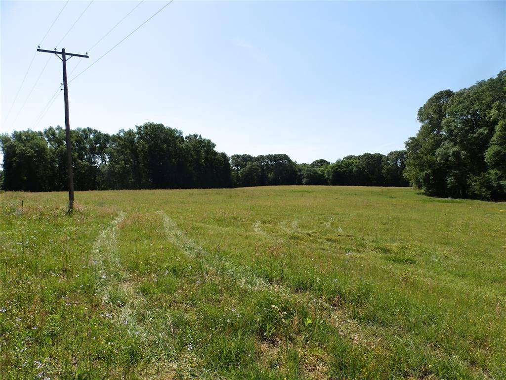 3168 Hwy 175, Frankston, TX 75763