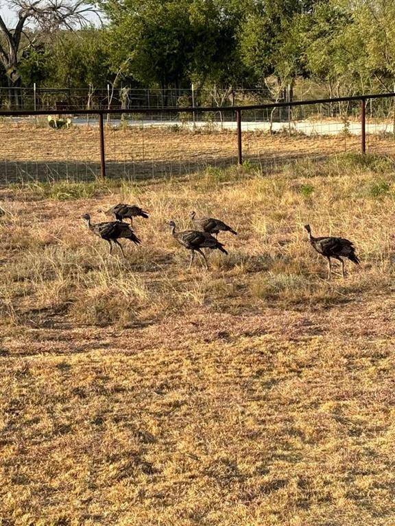 1002 County Road 209, Wingate, TX 79566
