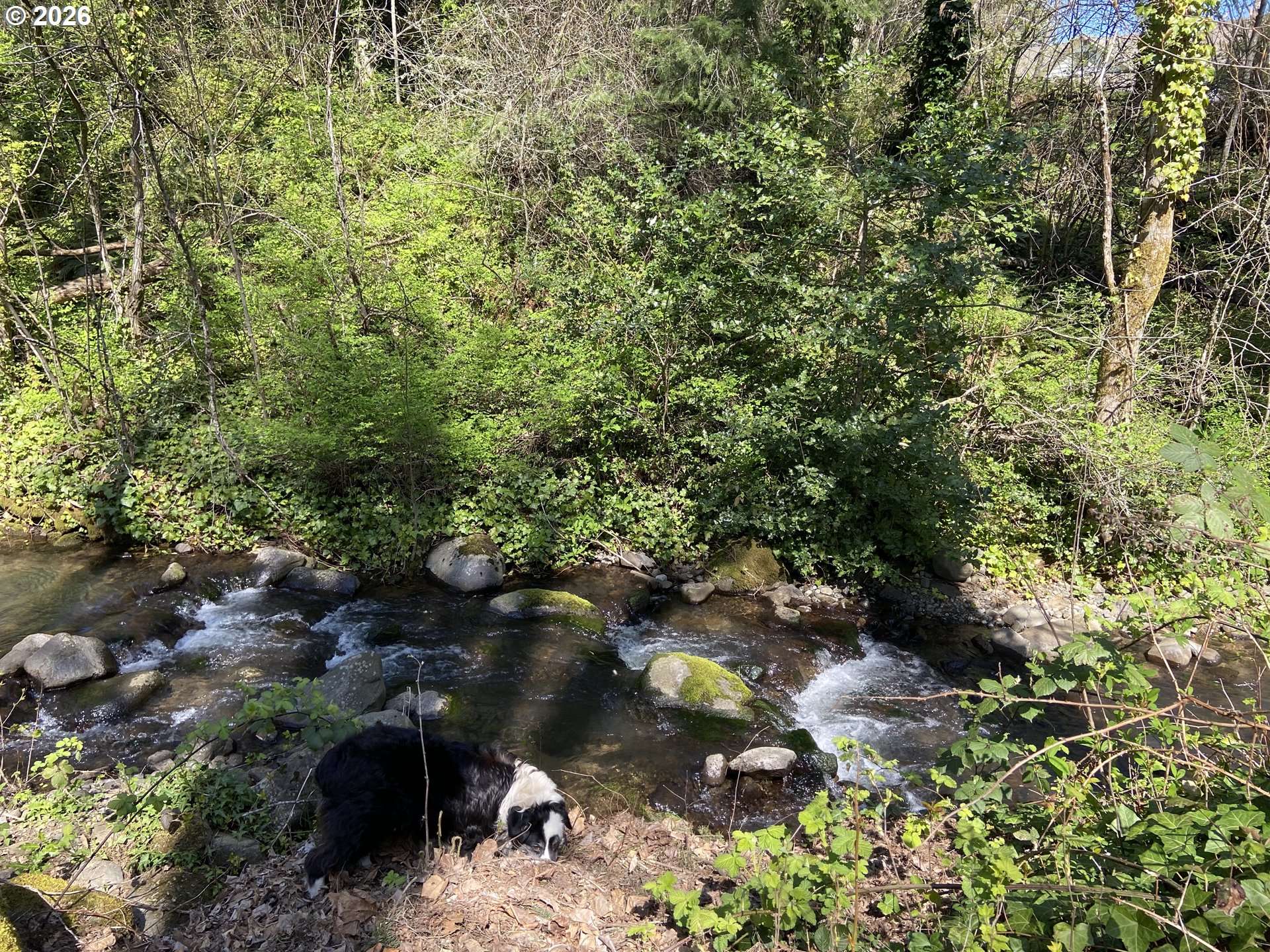 460 NW KANAKA CREEK RD, Stevenson, WA 98648