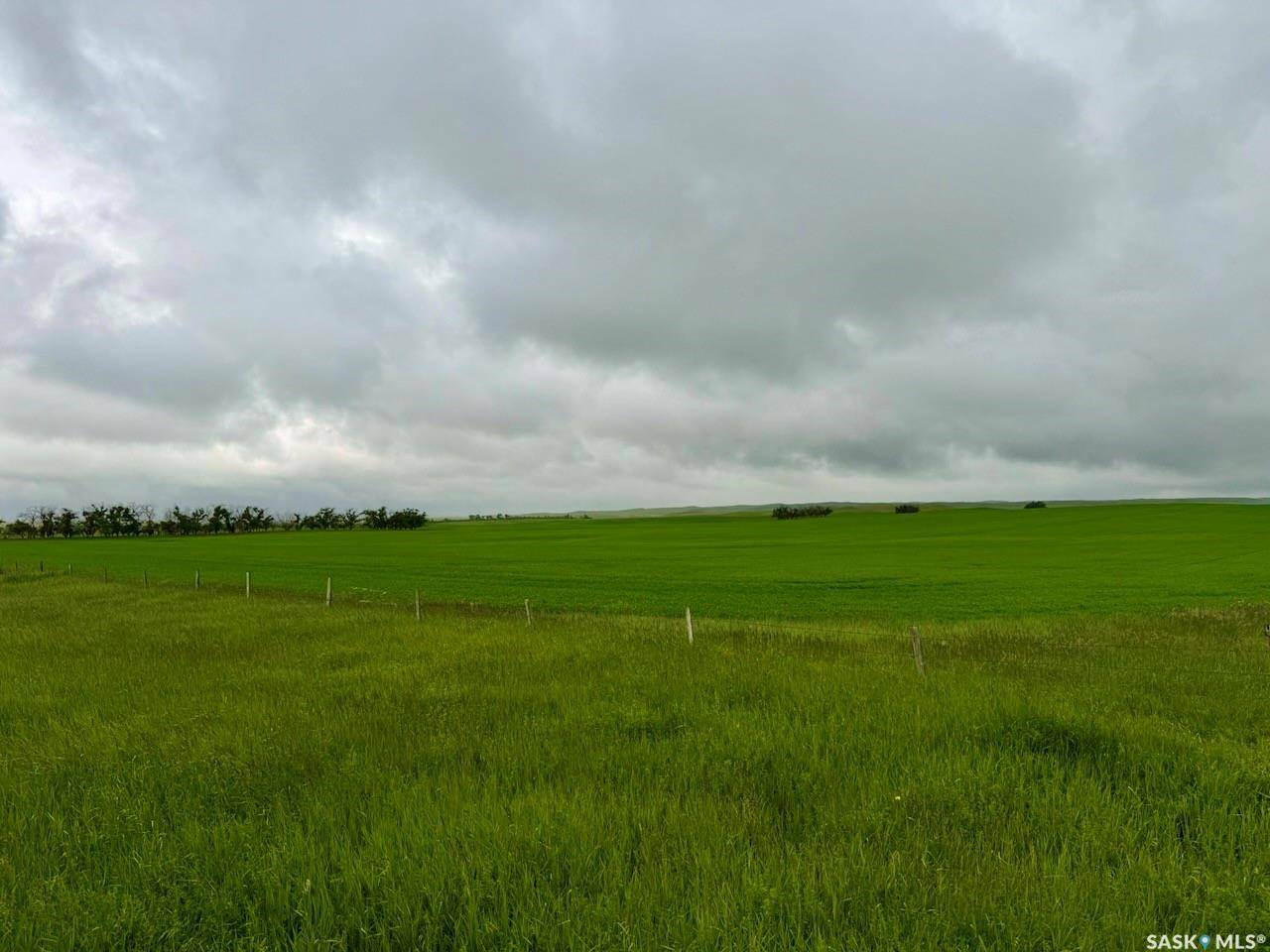 Rural Address, Morse Rm No. 165, SK S0H 0V0