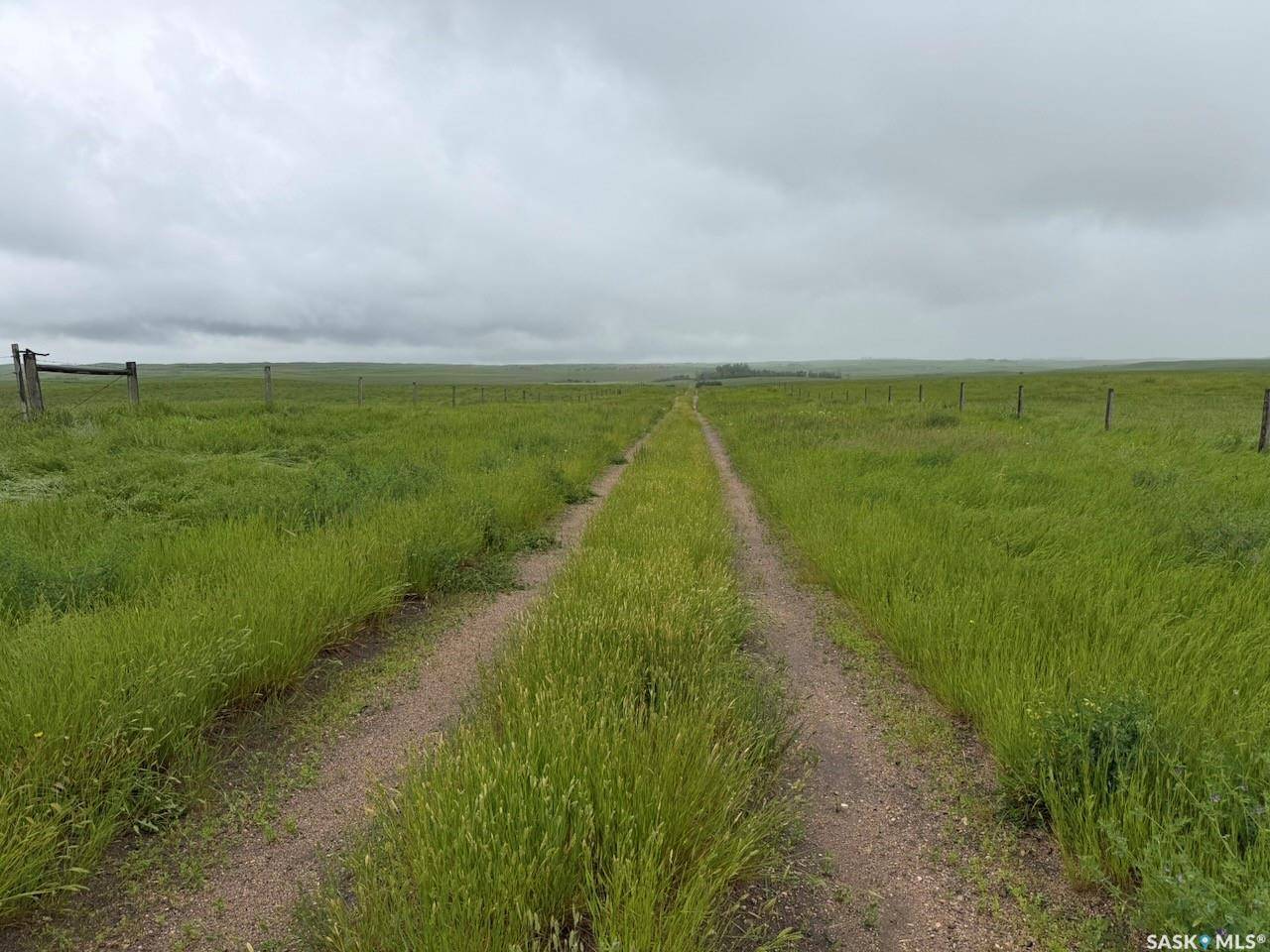 Rural Address, Morse Rm No. 165, SK S0H 0V0