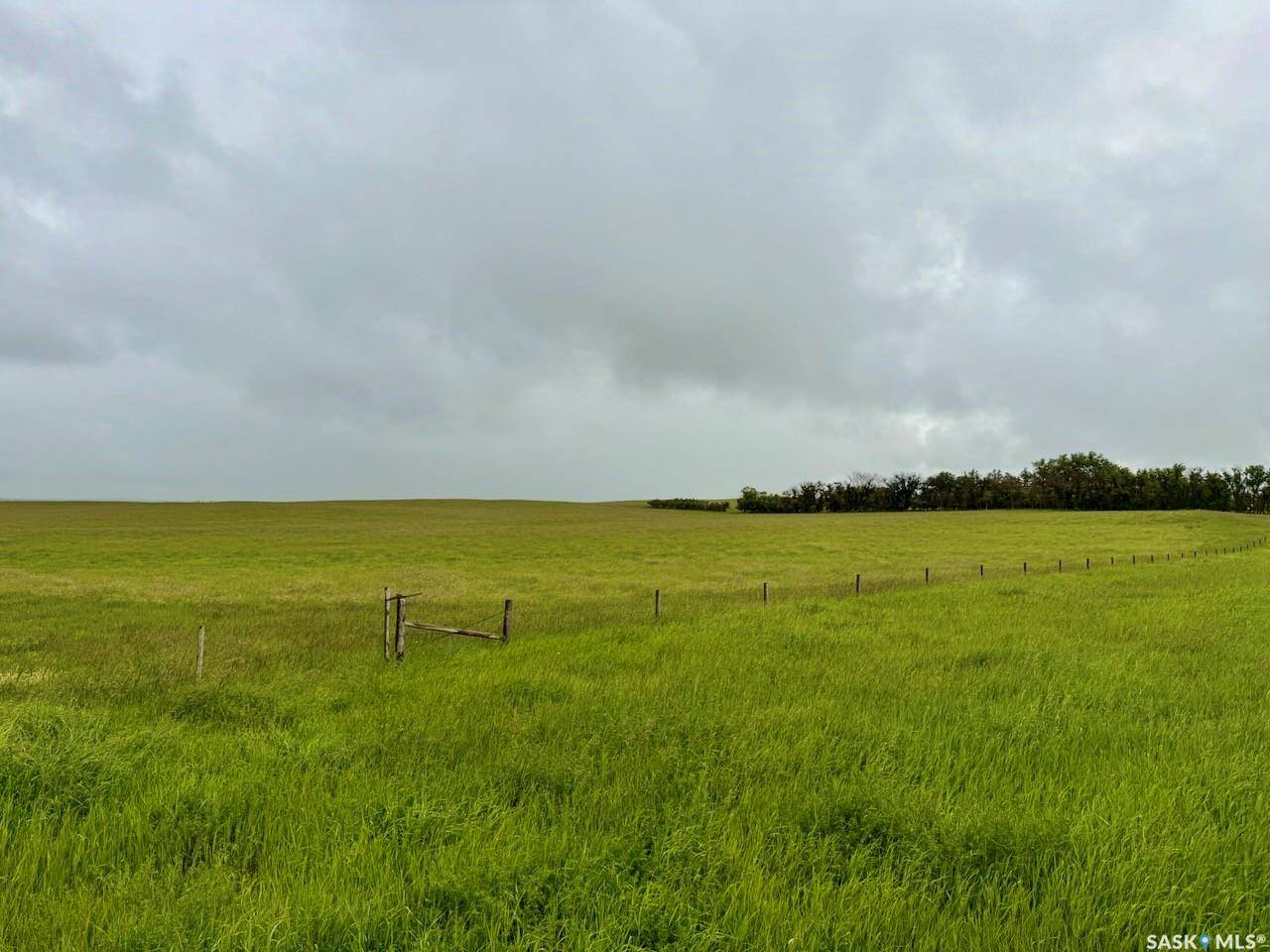 Rural Address, Morse Rm No. 165, SK S0H 0V0