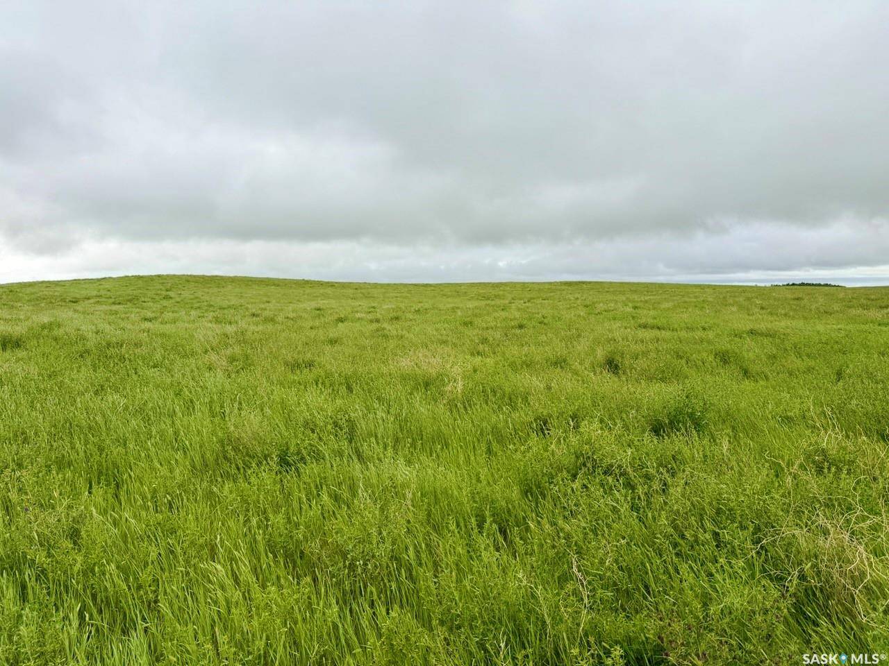 Rural Address, Enfield Rm No. 194, SK S0H 0V0