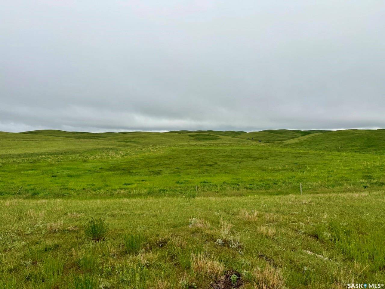 Rural Address, Enfield Rm No. 194, SK S0H 0V0