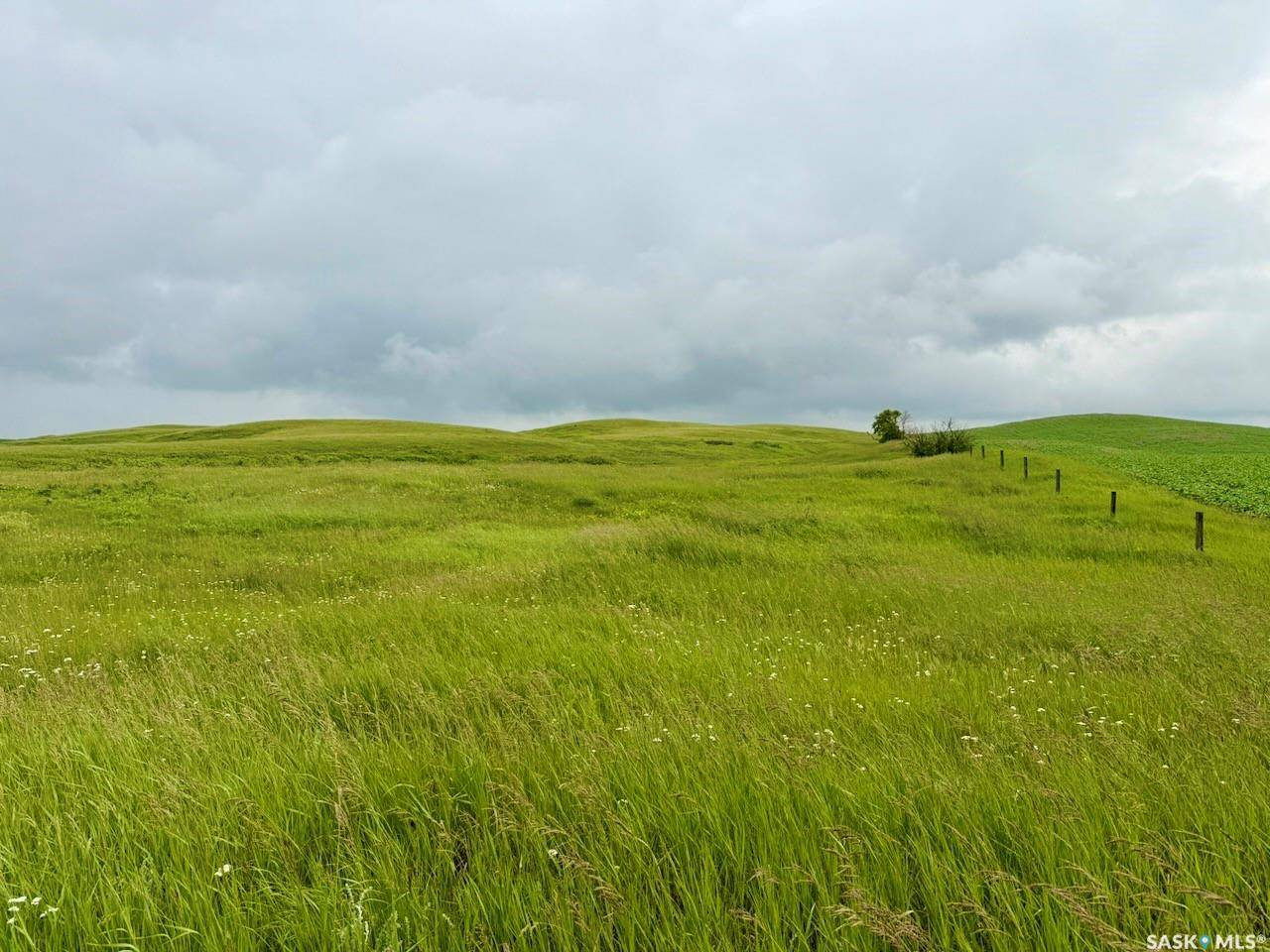 Rural Address, Enfield Rm No. 194, SK S0H 0V0
