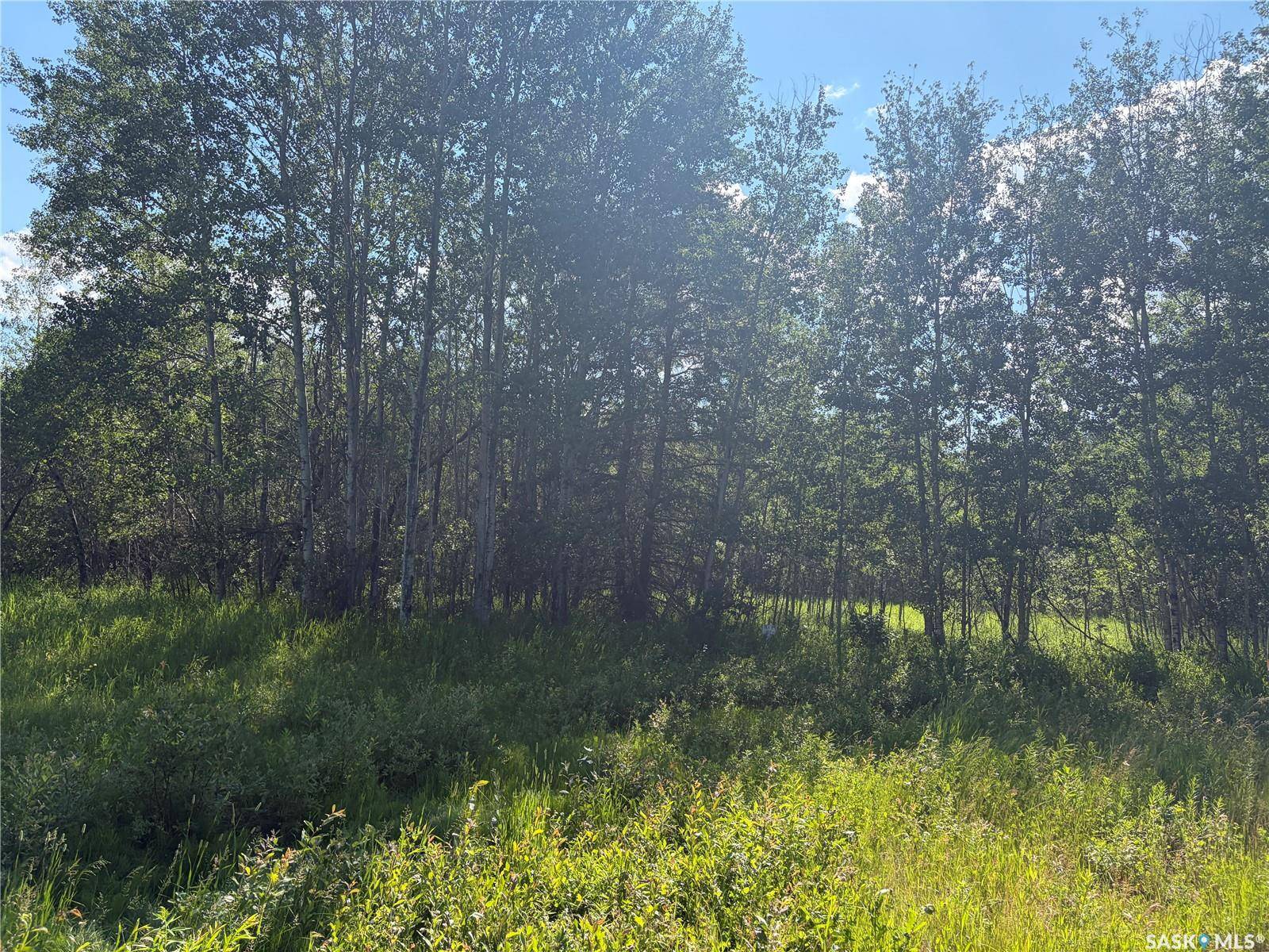 4 Rural Address, Big River Rm No. 555, SK S0J 0E0