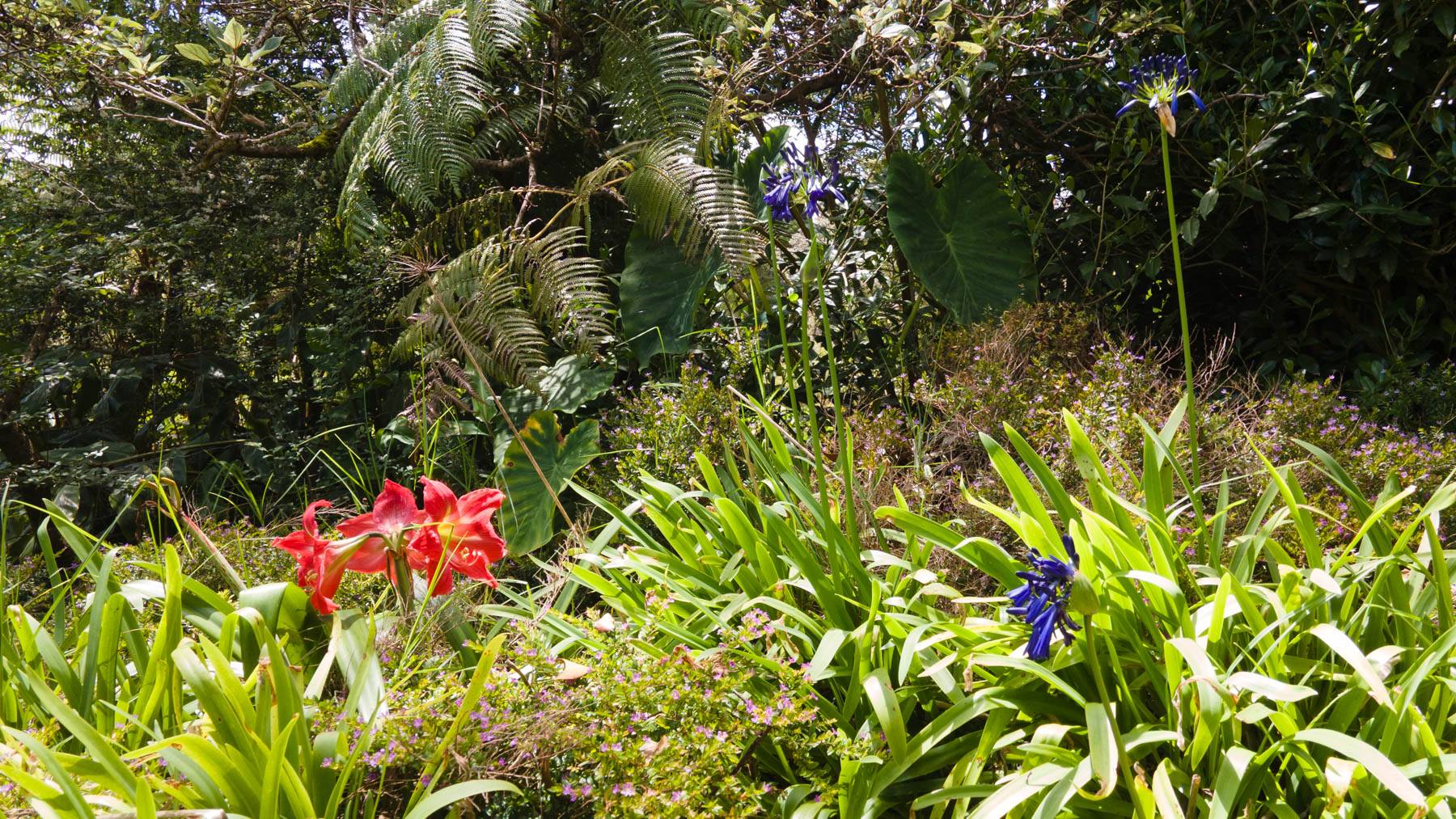 19-4144 HAUNANI RD, Volcano, HI 96785