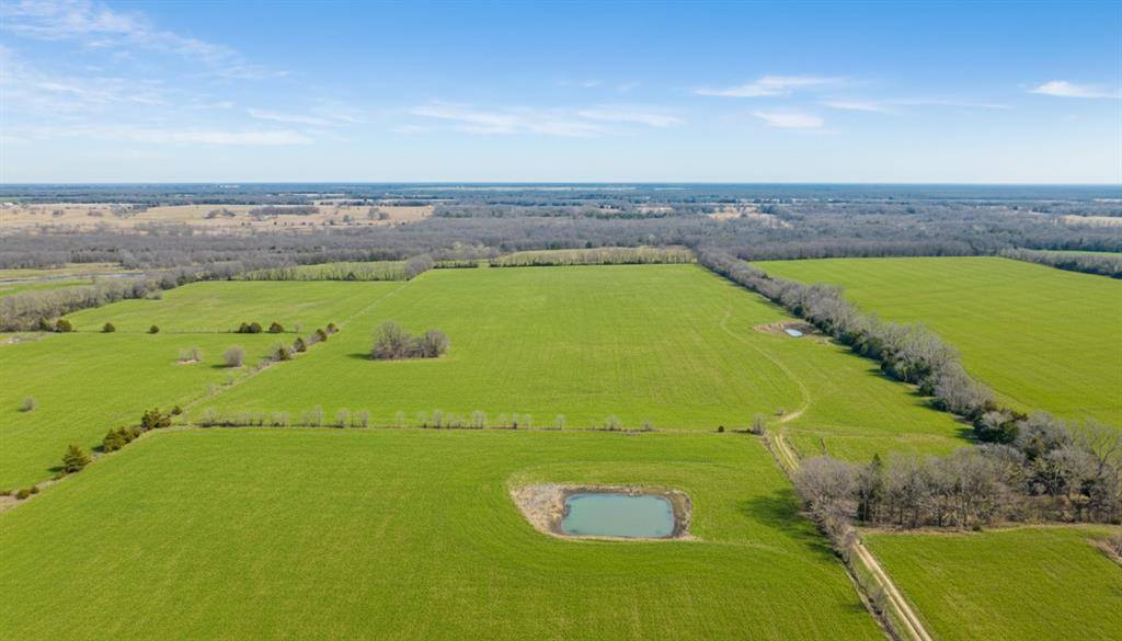 TBD County Road 14790, Paris, TX 75462