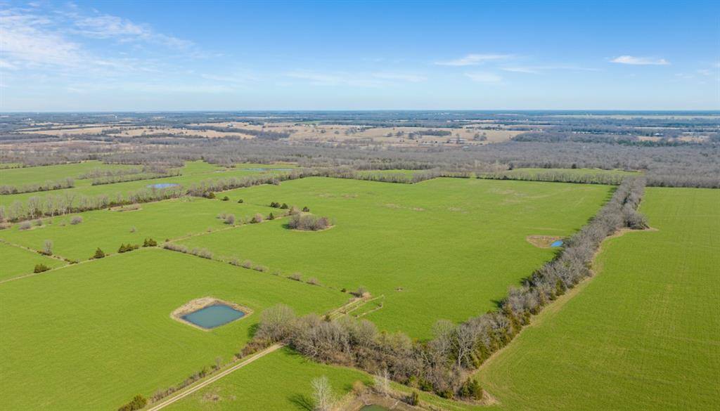 TBD County Road 14790, Paris, TX 75462