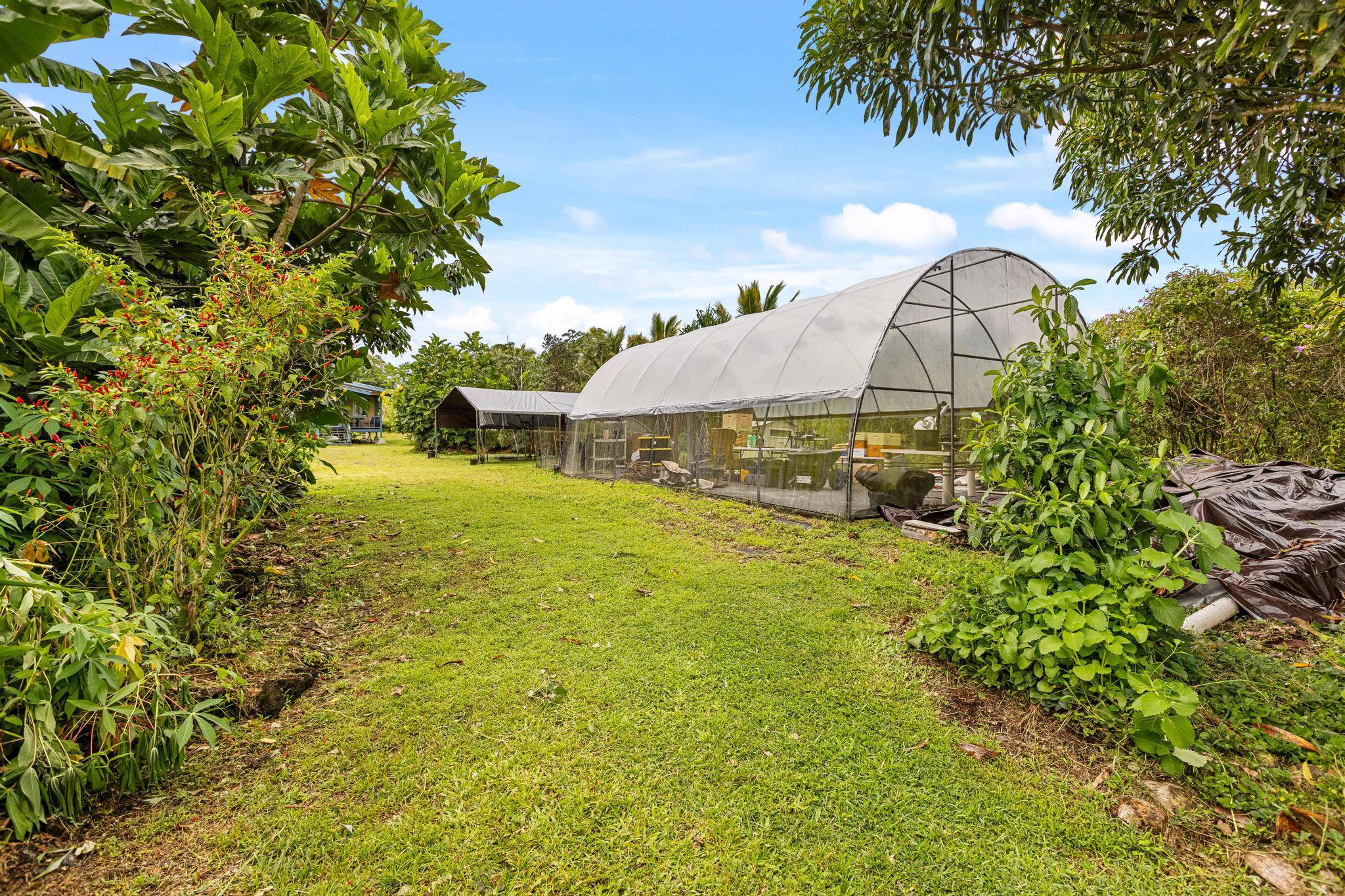 15-1858 6TH AVE, Keaau, HI 96749